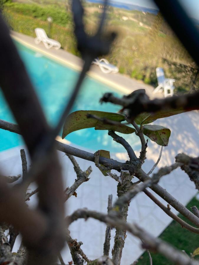 Appartamento Il Vecchio Fienile San Gimignano Buitenkant foto